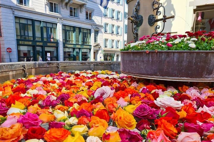 Guided Walking Tour