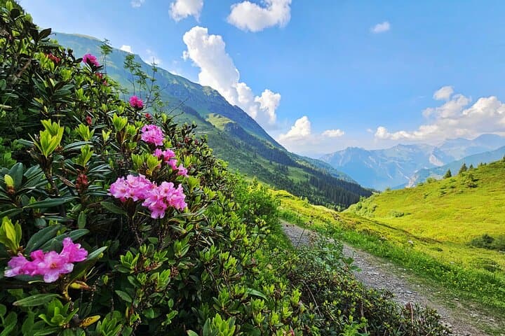 Hike Lauterbrunnen-Murren including Trummelbach Waterfalls Visit