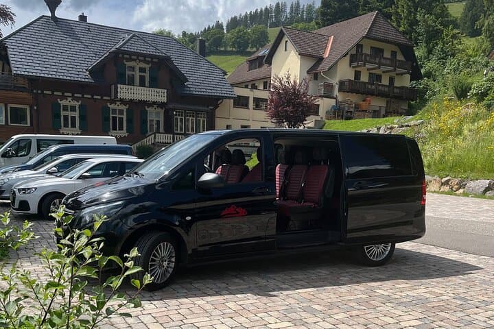 Basel to Grindelwald or Lauterbrunnen Private Transfer for 1-4