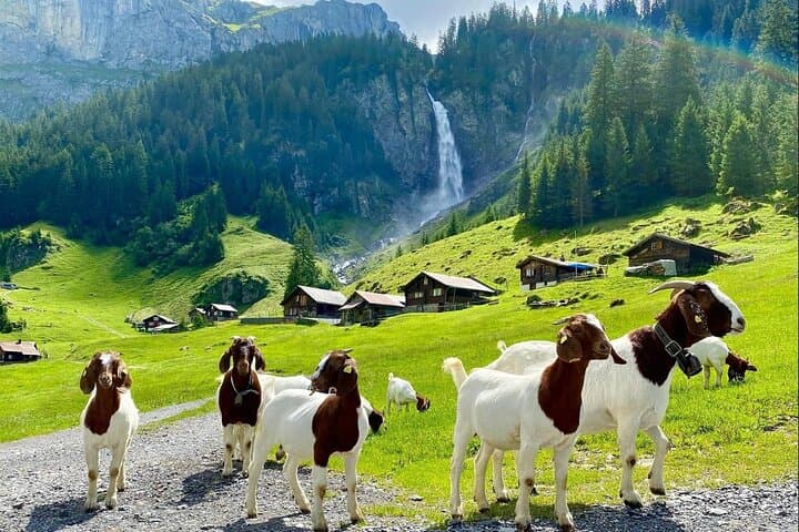 Hidden Swiss Gems: Private Day Tour with Local from Zurich