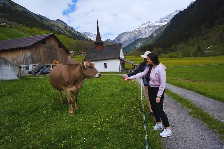Hidden Swiss Gems: Private Day Tour with Local from Zurich