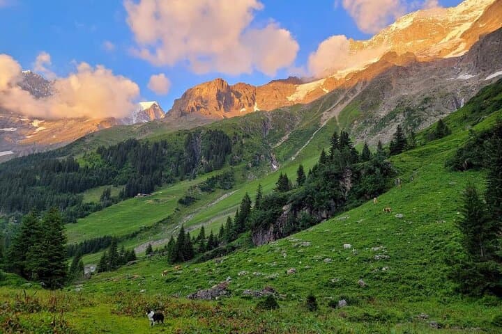 Lauterbrunnen Private Hike and Paraglide Experience