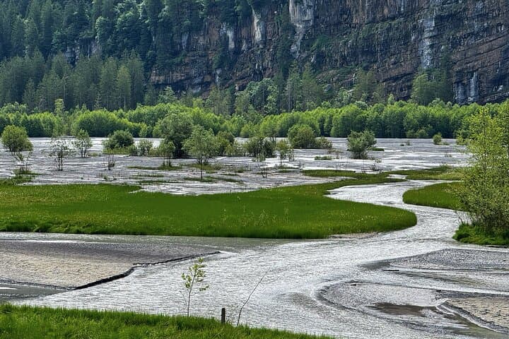 Griesalp UNESCO Alpine E-Bike Adventure from Interlaken