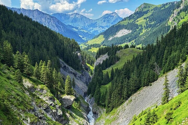 Griesalp UNESCO Alpine E-Bike Adventure from Interlaken