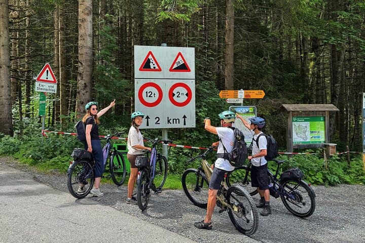 Griesalp UNESCO Alpine E-Bike Adventure from Interlaken