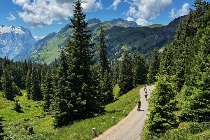 PRIVATE E-Bike Tour Engstlenalp Lake Adventure from Interlaken