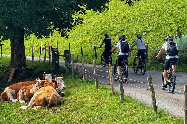 Griesalp UNESCO Alpine E-Bike Adventure from Interlaken