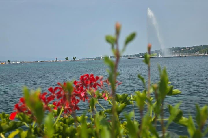 Old Town, Chocolate and Lake Guided Walking Tour