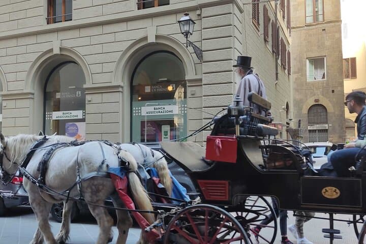 Sightseeing Walking Tour of Zurich