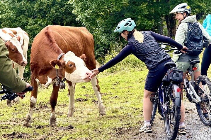 PRIVATE E-Bike Tour Habkern Cheese Tasting from Interlaken
