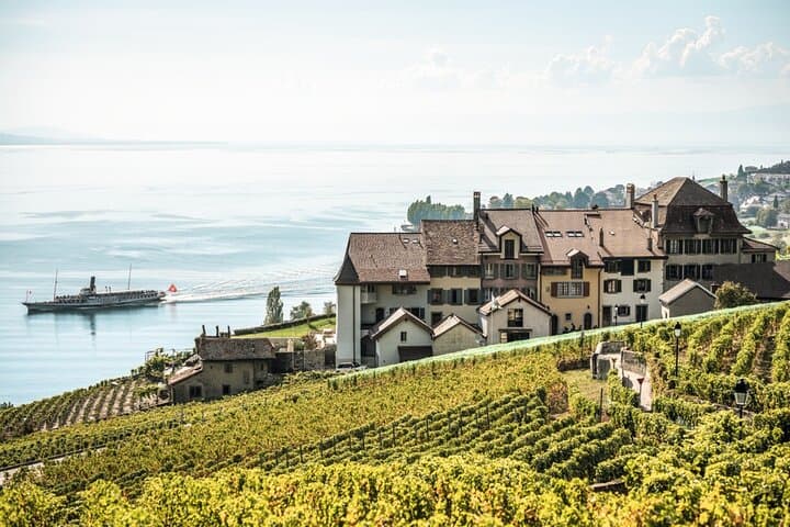Gruyères, Cheese & Lavaux UNESCO Wine Private Tour | From Bern