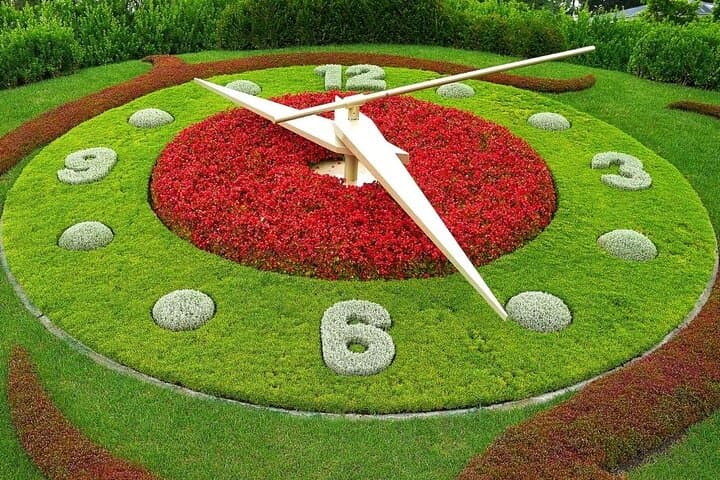 Flower Clock