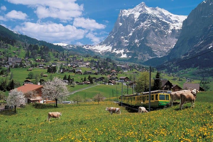 From Zurich: Beatus Caves, Grindelwald, Lauterbrunnen Small Group