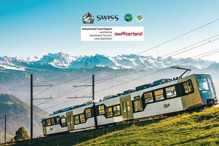 Private Lucerne and Lake Lucerne Cruise with Alpine Views
