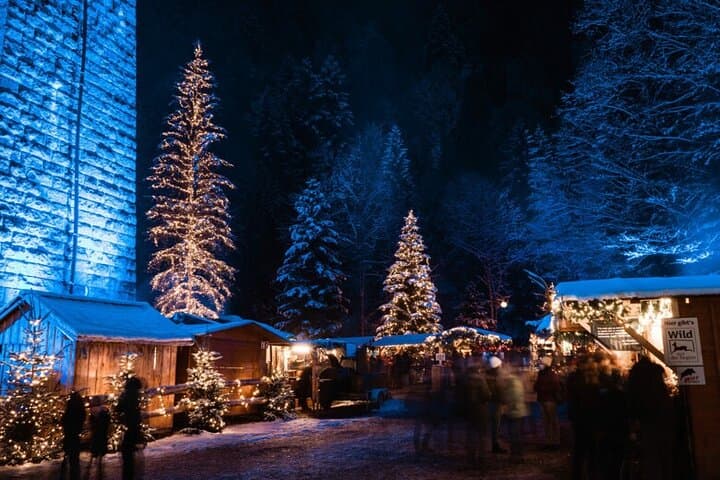 Christmas Market in the Black Forest (Private Tour)