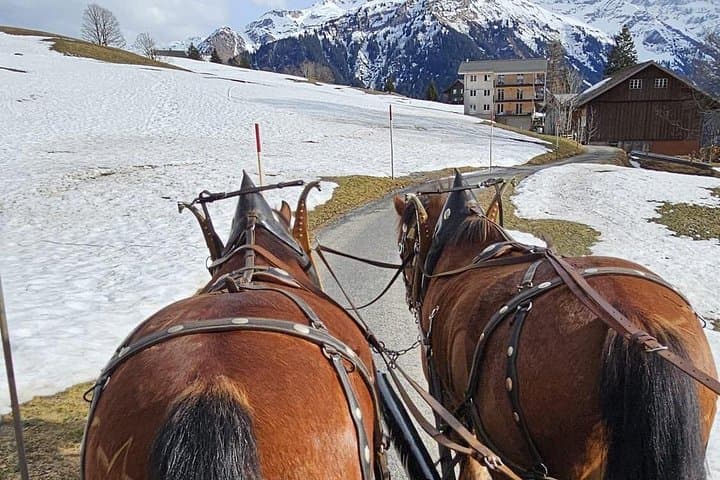 From Zurich: Swiss Winter Horse Carriage & Fondue Private Tour