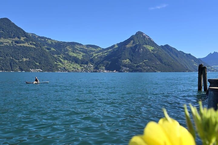 Lake Lucerne and Local Cheese Tasting (Private Tour)