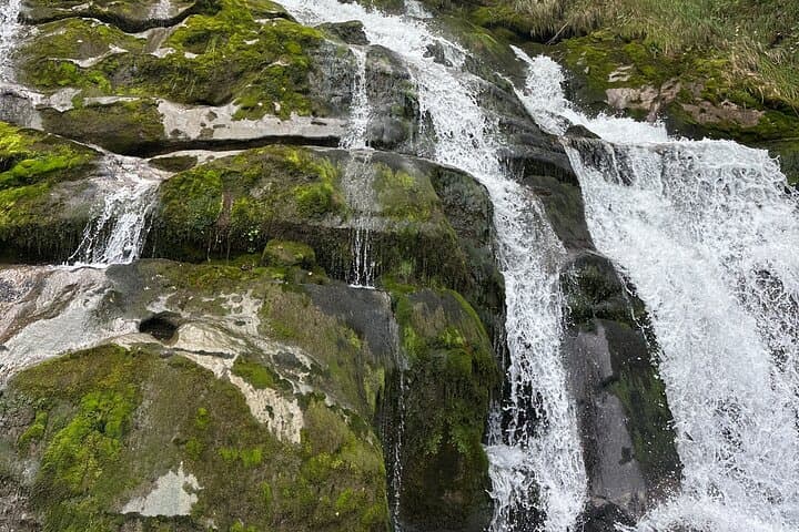 Iseltwald Giessbach Falls and Brienz Tour
