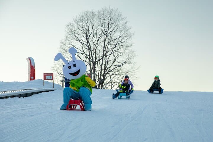 Bodmi Arena Sledding in Grindelwald