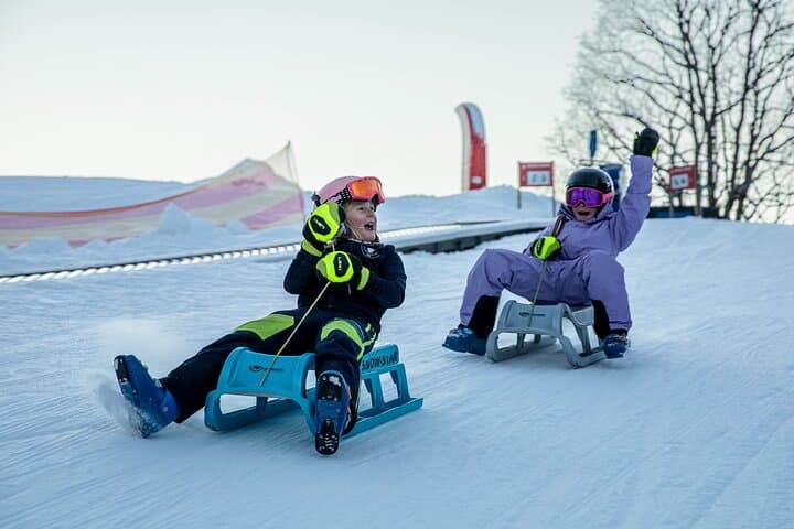Bodmi Arena Sledding in Grindelwald