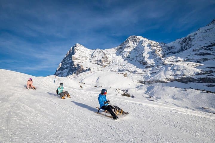 From Zurich: Alpine Winter Sledging Adventure Private Tour