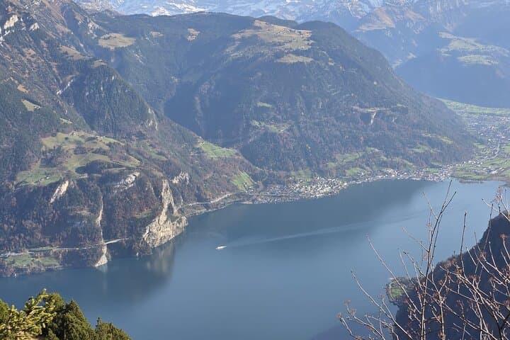 Lake Lucerne and Local Cheese Tasting (Private Tour)
