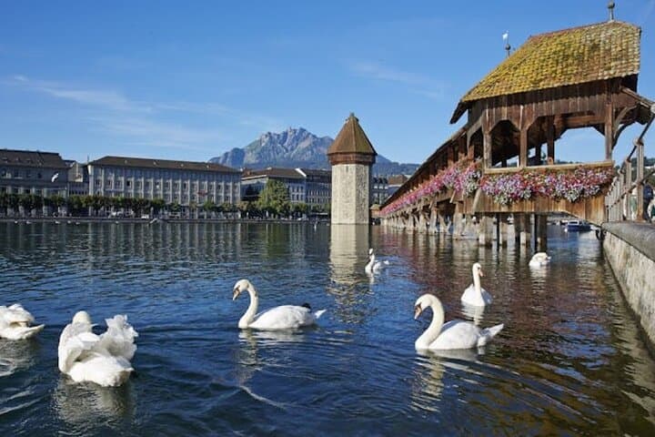 Lucerne Top Sights Partially Guided Trip