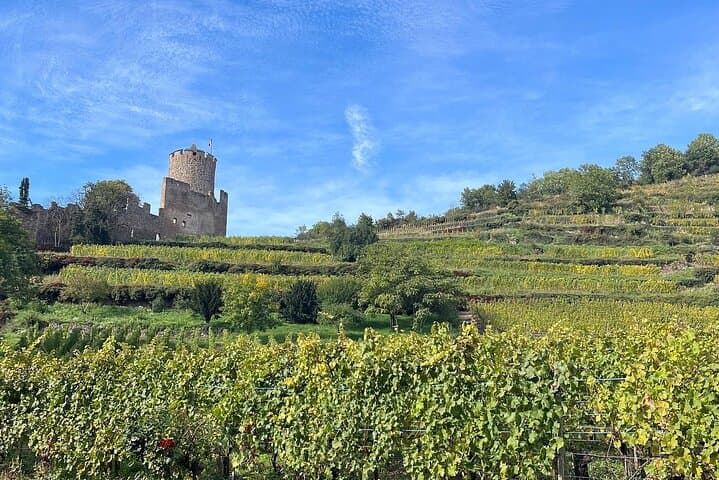 Three countries+ Blackforest and Alsace Private Car Tour for 1-6