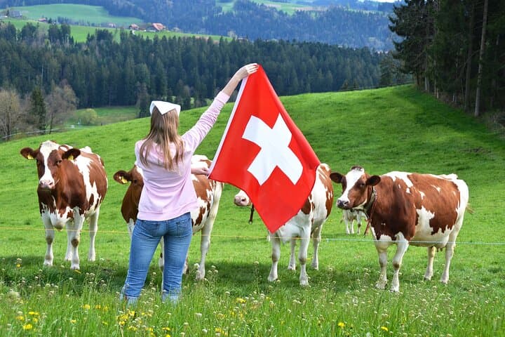 Appenzell Highlights and Liechtenstein Private Tour
