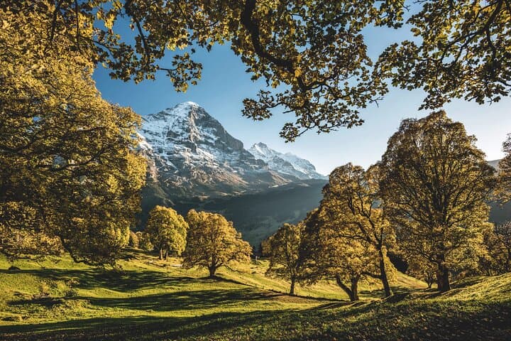 Swiss Valley Wonders: Lauterbrunnen, Interlaken & Grindelwald