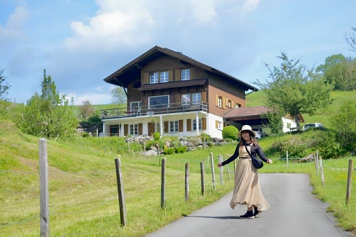Crash Landing On You Private Day Tour from Zurich
