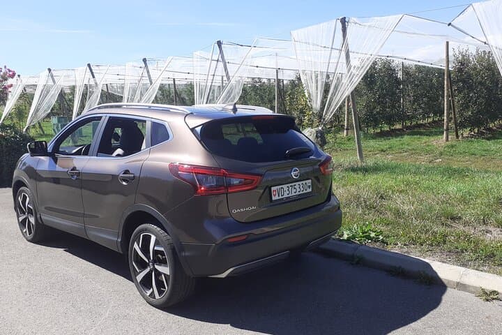 SUV used for up to 2 guests.