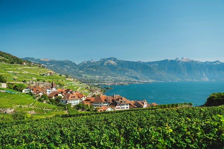 Swiss Riviera Day Trip (Private Tour)