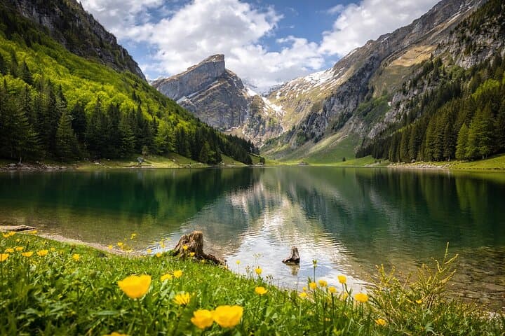 Alpine Food Tour from Zurich – Swiss Indulgence & Panorama