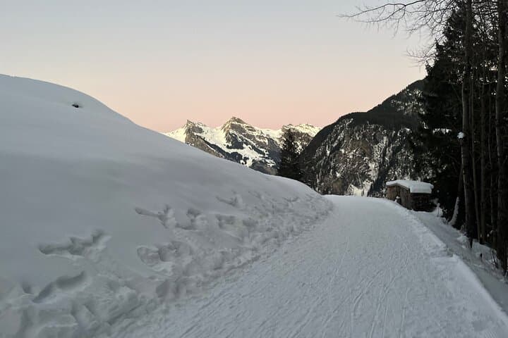 Interlaken: Sunset Sledding Adventure & Swiss Cheese Fondue
