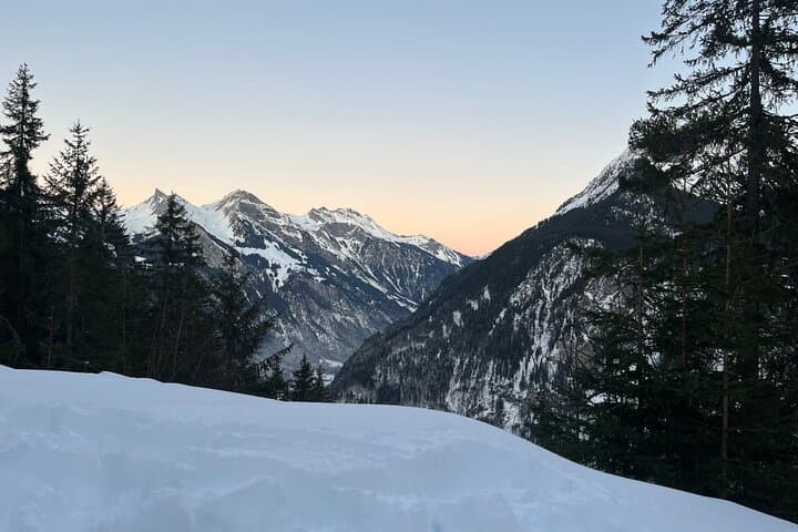 Interlaken: Sunset Sledding Adventure & Swiss Cheese Fondue