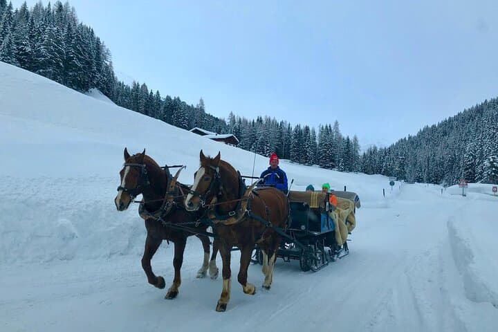 Winter Horse Carriage Experience (Private Tour)