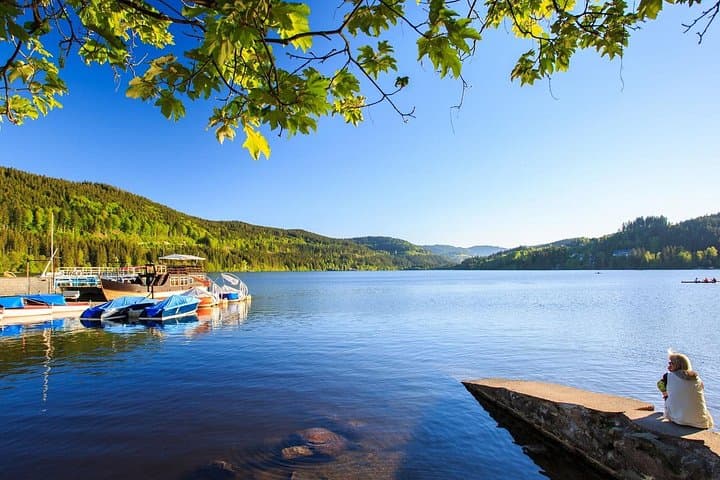From Zurich: Black Forest & Lake Titisee Small-Group