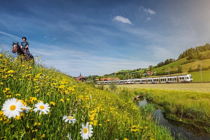 Swiss Chocolate, Cheese & Cookies Experience – Guided Train Tour