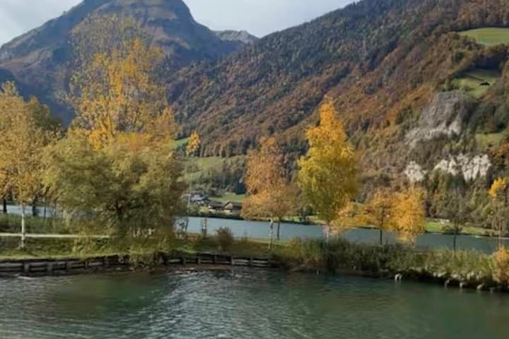 Private Luxury Lucerne Lake and Alps Tour with Swiss Lunch
