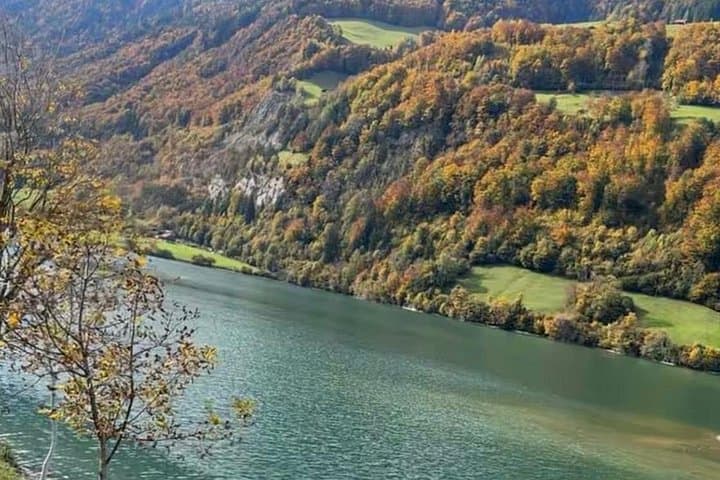 Private Luxury Lucerne Lake and Alps Tour with Swiss Lunch