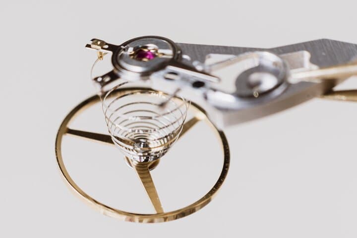 Geneva Private City Tour with Swiss Watch&Knife Making Experience