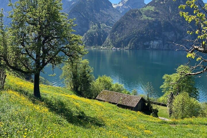 Grindelwald, Lauterbrunnen & Brienz from Zurich