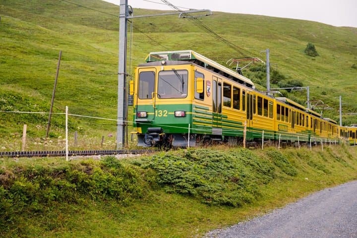 Private Scenic Train Tour in Grindelwald with Kleine Scheidegg