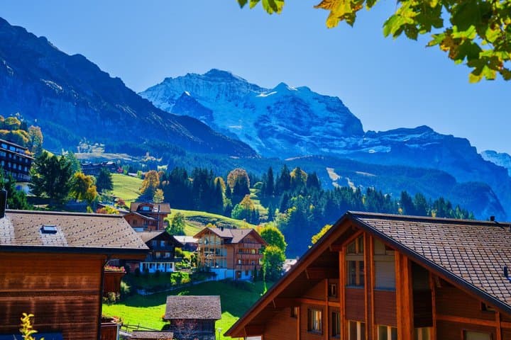 Private Walking Tour in Wengen with alpine views