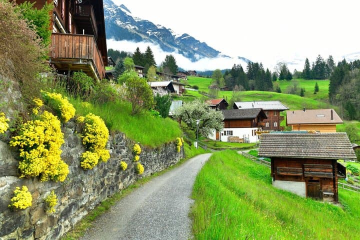 Private Walking Tour in Wengen with alpine views