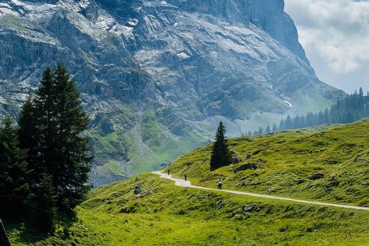 PRIVATE E-Bike Tour Rosenlaui & Grosse Scheidegg from Interlaken