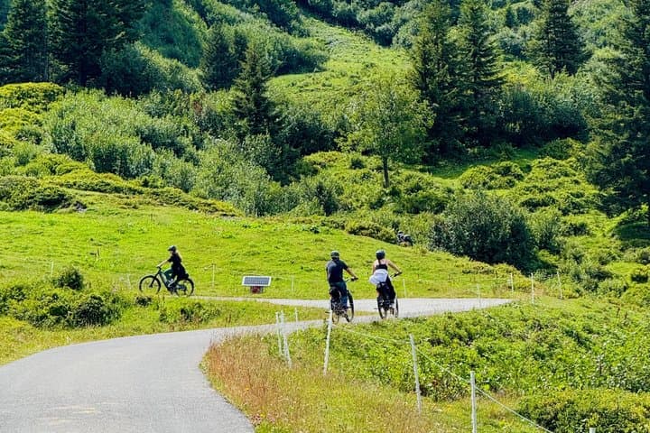 PRIVATE E-Bike Tour Rosenlaui & Grosse Scheidegg from Interlaken