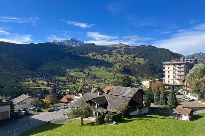 From Interlaken: Private Grindelwald and Lauterbrunnen Tour
