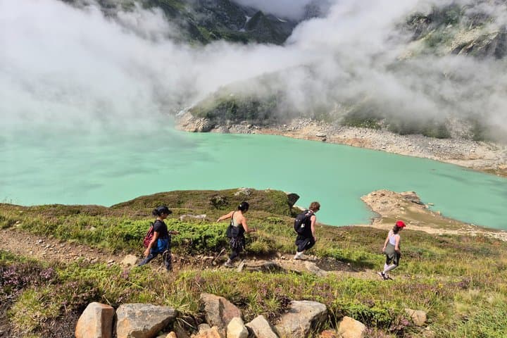 Full-Day Hiking Swiss Alps and Lake swim with Pick-up